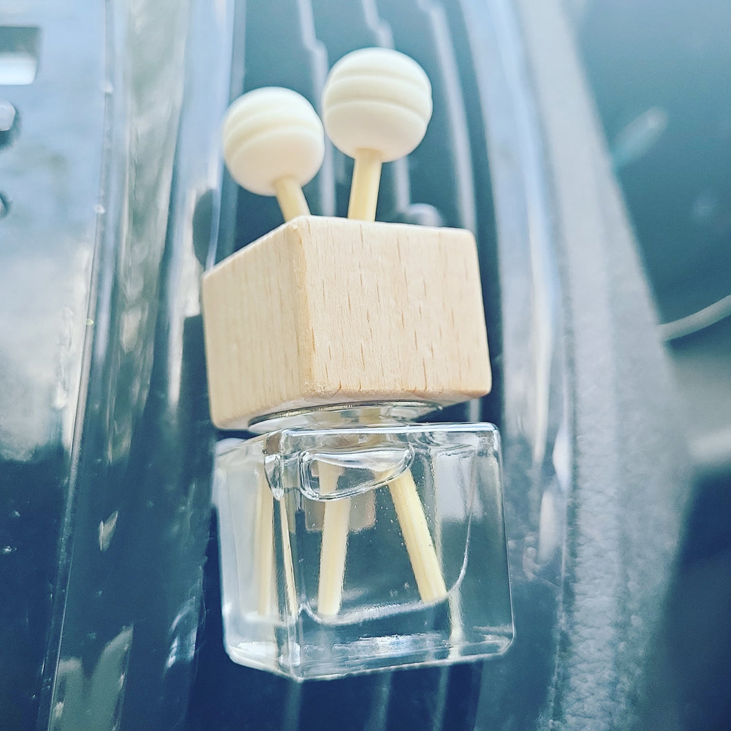 Car Diffuser - NOW £3.49