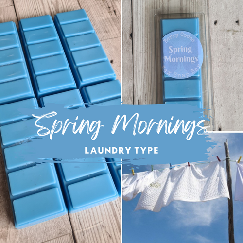 Spring Mornings (Laundry Dupe)